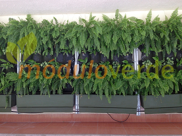 Muros Verdes